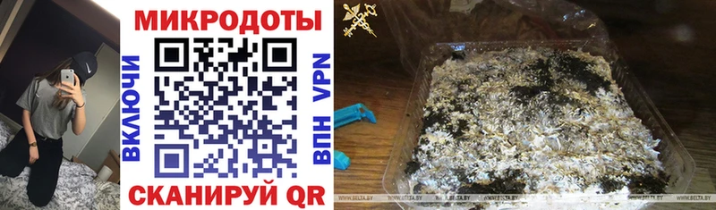 Галлюциногенные грибы прущие грибы  Тайга 