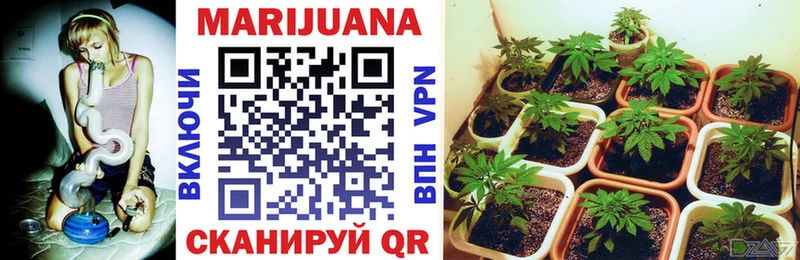 Канабис White Widow гидра как войти Тайга